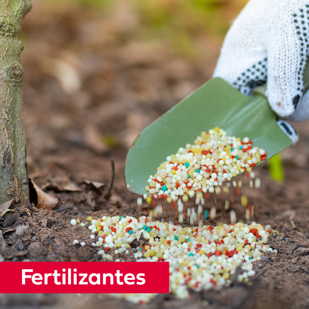 Fertilizantes (1)